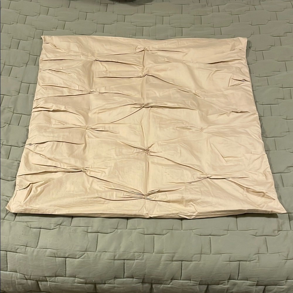 West Elm Euro Shams, Set of 2